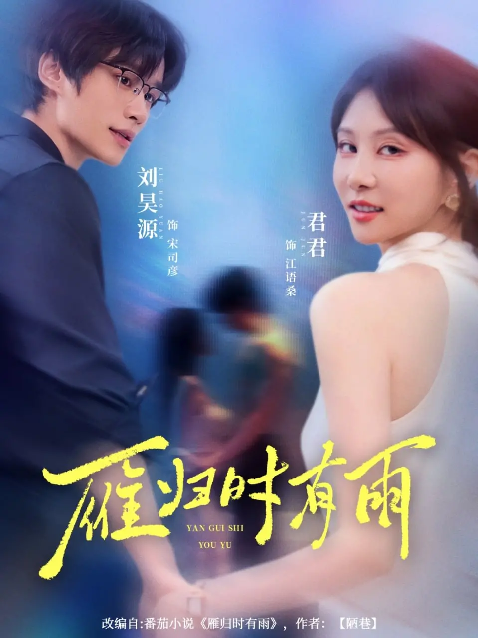 雁归时有雨 海报